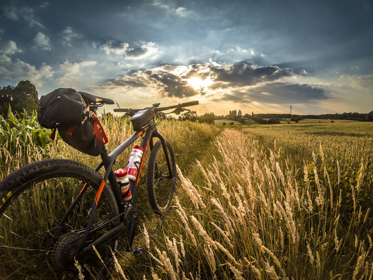 Vale a pena investir em uma e-bike?